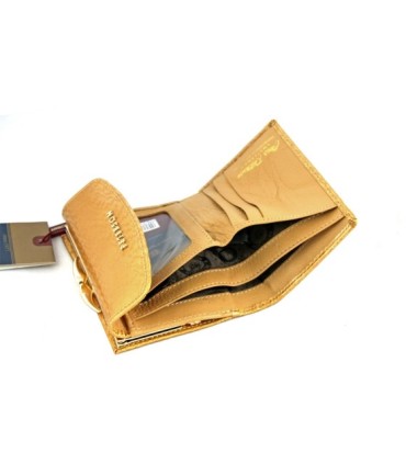 Portmonetka damska Peterson, złota, lakierowana