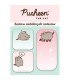 Karteczki samoprzylepne zestaw ozdobnych notesów 3 x 30 karteczek PUSHEEN