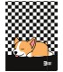 TECZKA Z GUMKĄ A4 Unipap, ST.RIGHT SLEEPY CORGI szachownica
