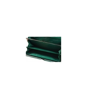 Skórzany lakierowany portfel Pierre Cardin w kolorze zielonym